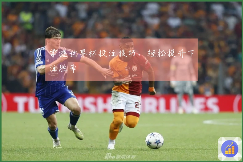 掌握世界杯投注技巧，轻松提升下注胜率