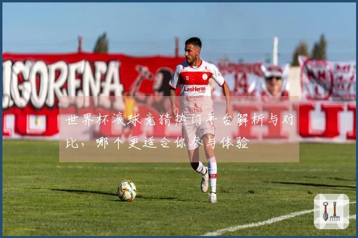 世界杯滚球竞猜热门平台解析与对比，哪个更适合你参与体验