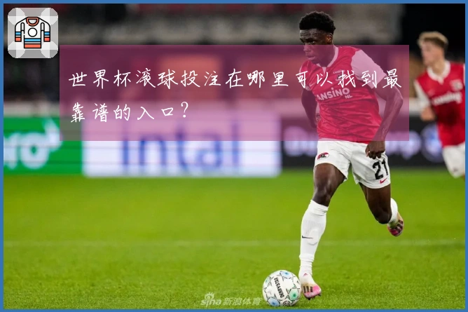 世界杯滚球投注在哪里可以找到最靠谱的入口？