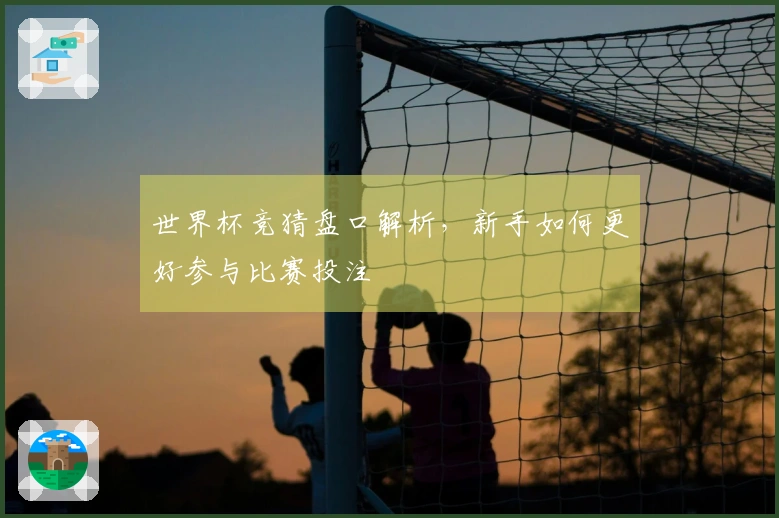 世界杯竞猜盘口解析，新手如何更好参与比赛投注