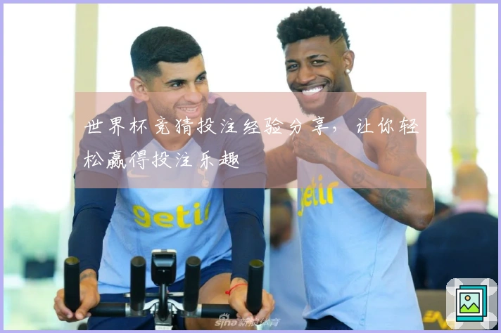世界杯竞猜投注经验分享，让你轻松赢得投注乐趣